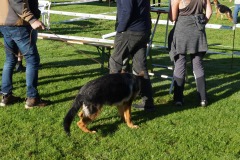 WhatsApp-Image-2026-03-15-at-17.21.42-42