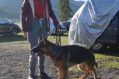 WhatsApp-Image-2026-03-15-at-17.21.42-43