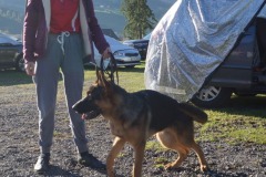 WhatsApp-Image-2026-03-15-at-17.21.42-44