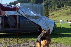 WhatsApp-Image-2026-03-15-at-17.21.42-46