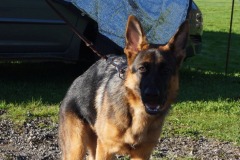 WhatsApp-Image-2026-03-15-at-17.21.42-47