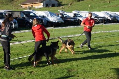 WhatsApp-Image-2026-03-15-at-17.21.42-5