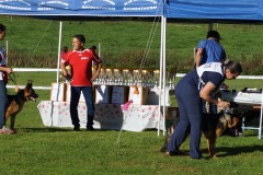 WhatsApp-Image-2026-03-15-at-17.21.42-7