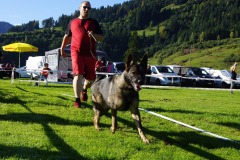 WhatsApp-Image-2026-03-15-at-17.21.42-8