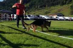 WhatsApp-Image-2026-03-15-at-17.21.42-9