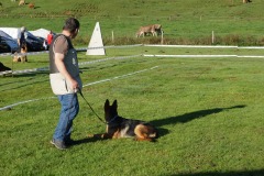 WhatsApp-Image-2026-03-15-at-17.21.42