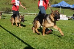 WhatsApp-Image-2026-03-15-at-17.21.43-1