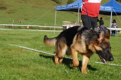 WhatsApp-Image-2026-03-15-at-17.21.43-2