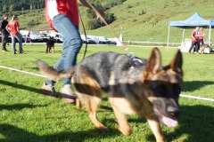 WhatsApp-Image-2026-03-15-at-17.21.43-3