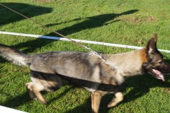 WhatsApp-Image-2026-03-15-at-17.21.43-6