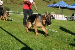 WhatsApp-Image-2026-03-15-at-17.21.43