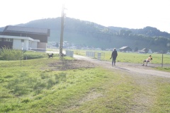 DSC03575