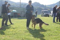 DSC03681