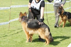 DSC03735
