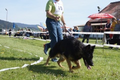 DSC03746