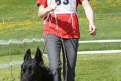 DSC03779