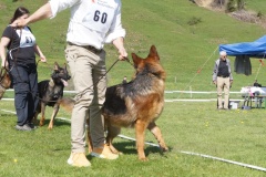 DSC03847