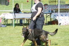 DSC03876