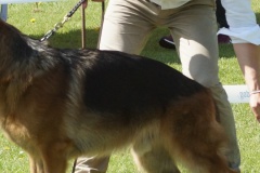 DSC03886