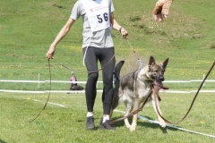 DSC03920
