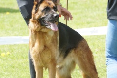 DSC04009