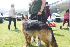 DSC04024